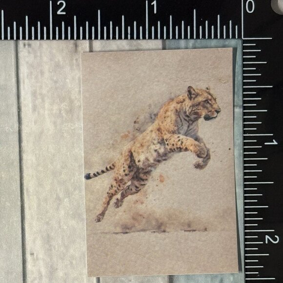 ๐10/$10๐ Classic Grassland Animals Reusable Washi Sticker Decal - Picture 1 of 1